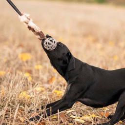 Ozami Dummy med Elastiskt Handtag, Boll & Pipljud i Beige & Bruna Färger